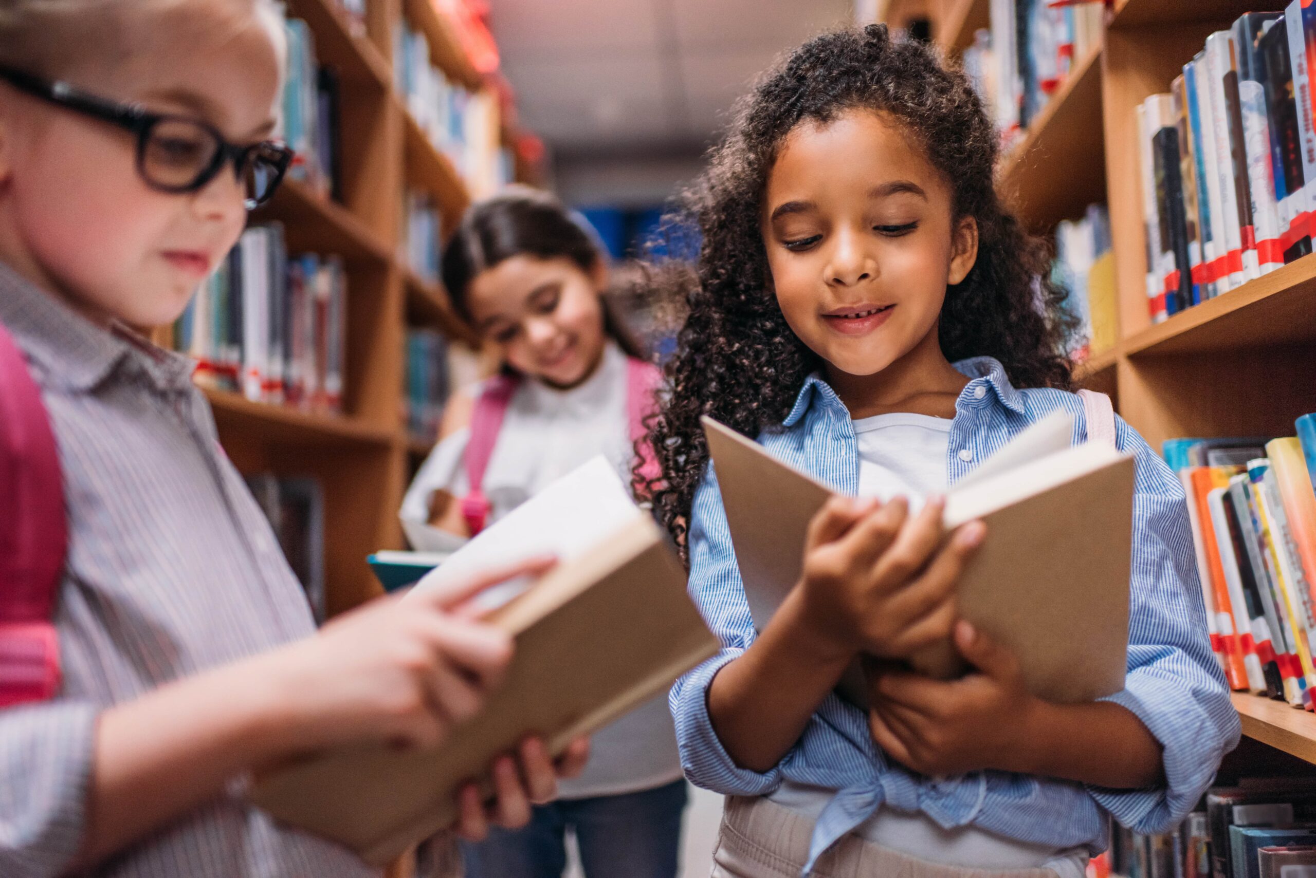 guia escolha obras literárias