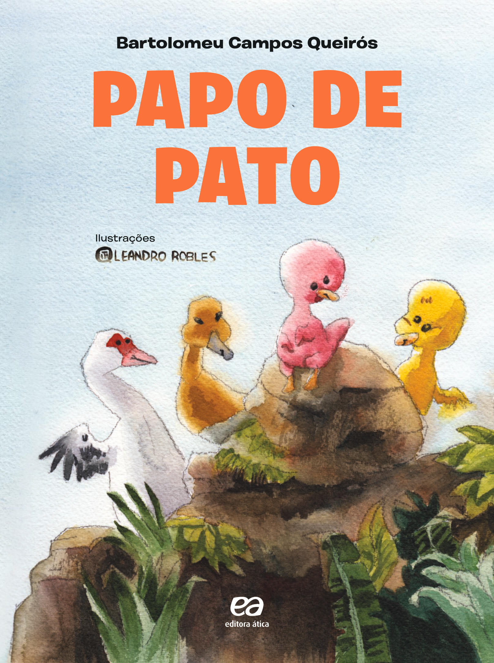 Papo de pato