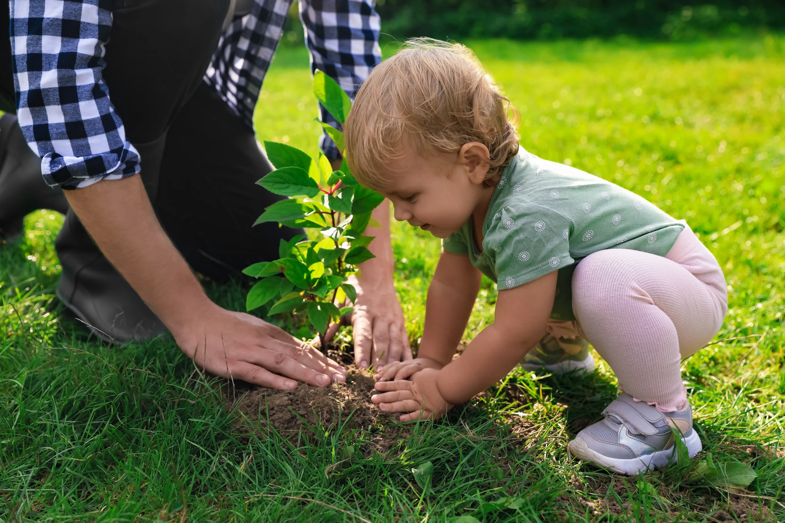 Consciência ambiental na educação infantil