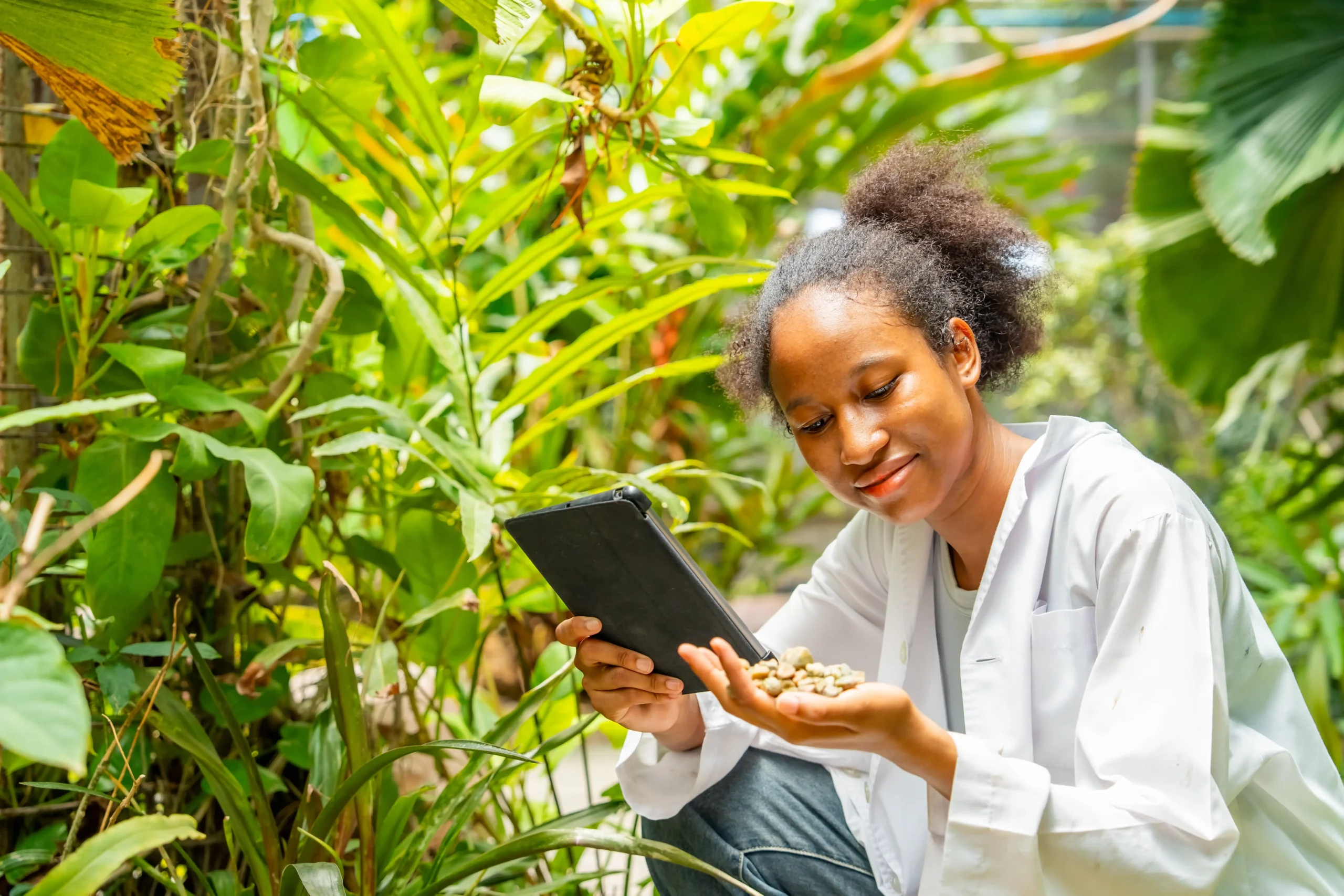A Importância da Educação Ambiental no Ensino Médio