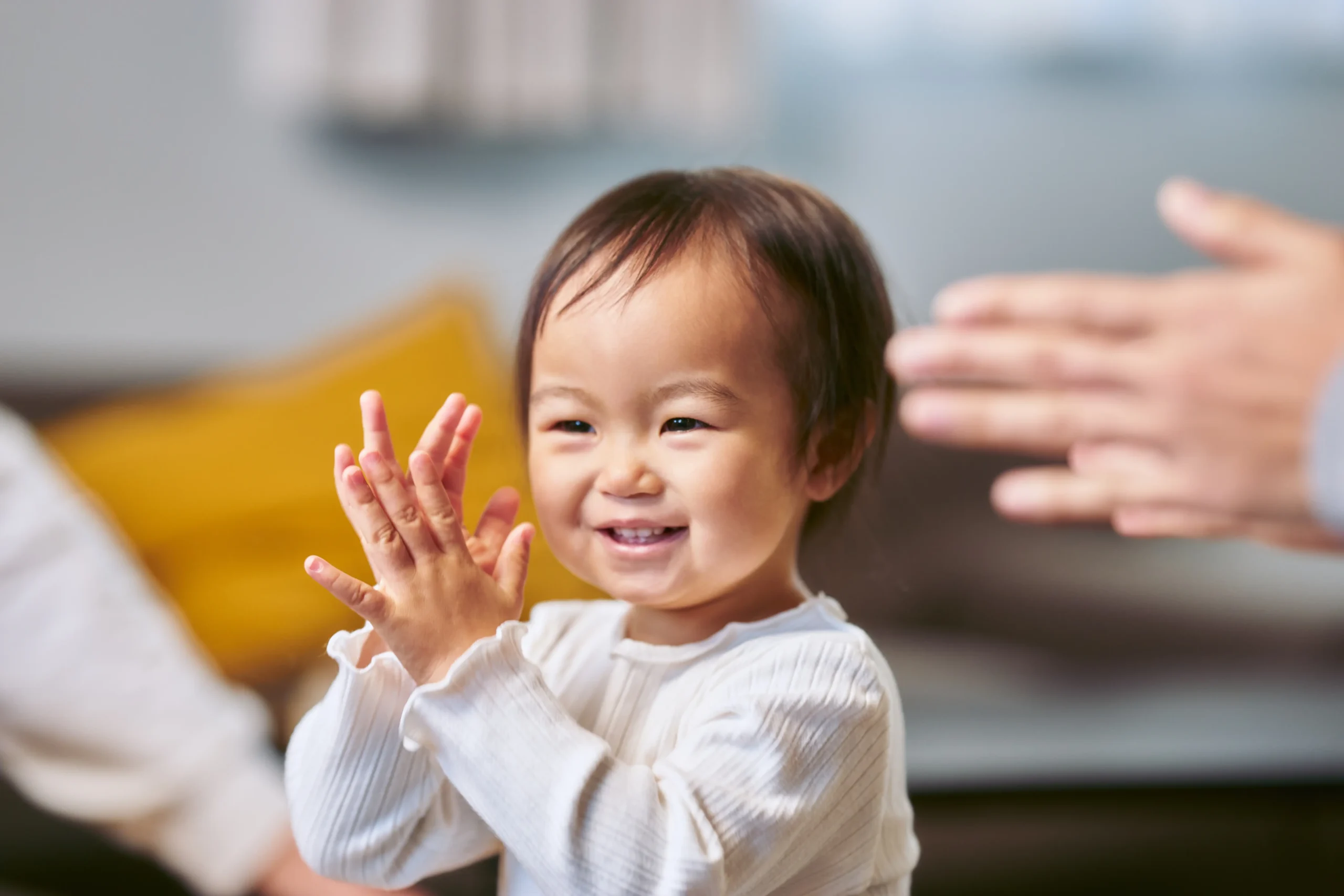 Prosinha - Descobrindo o Mundo - solução de educação infantil