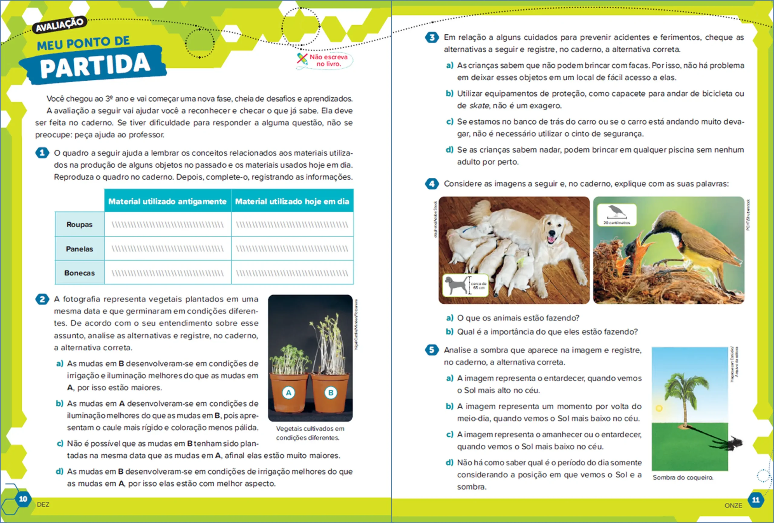 Ápis Mais Ciências da Natureza - 3º ano - Páginas 10 e 11