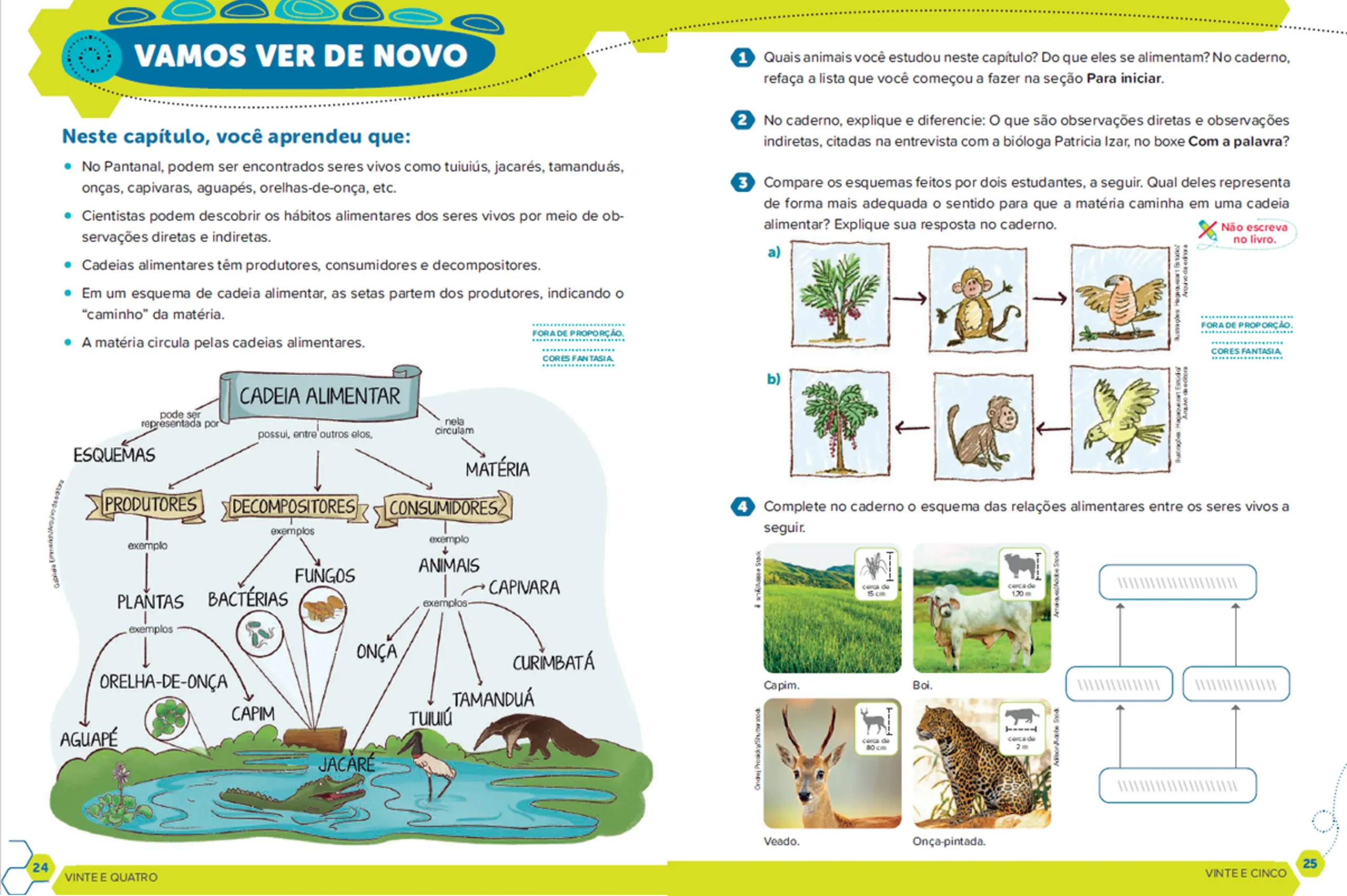 Ápis Mais Ciências da Natureza - 4º ano - Páginas 24 e 25
