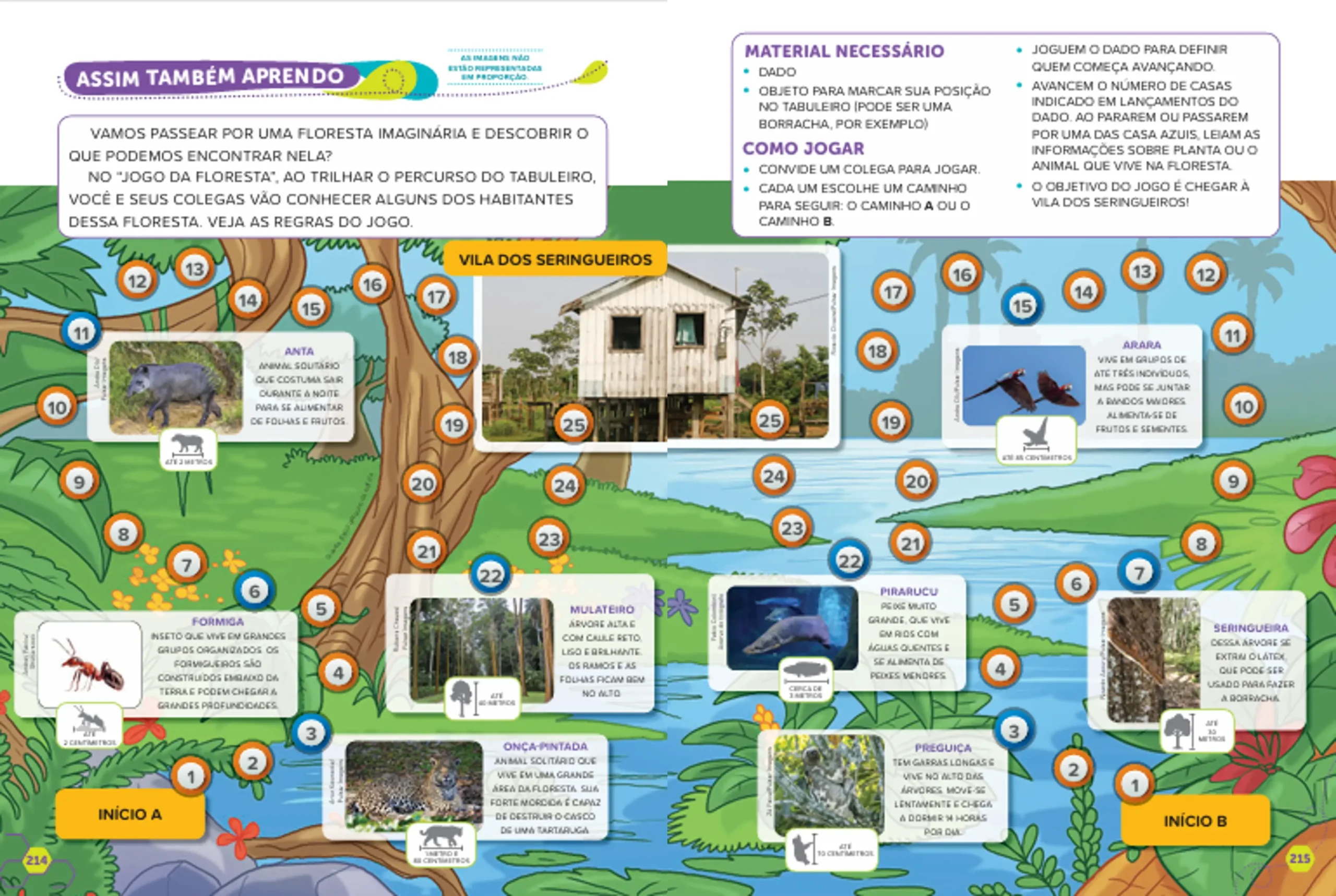 Imagem do Carrossel 2