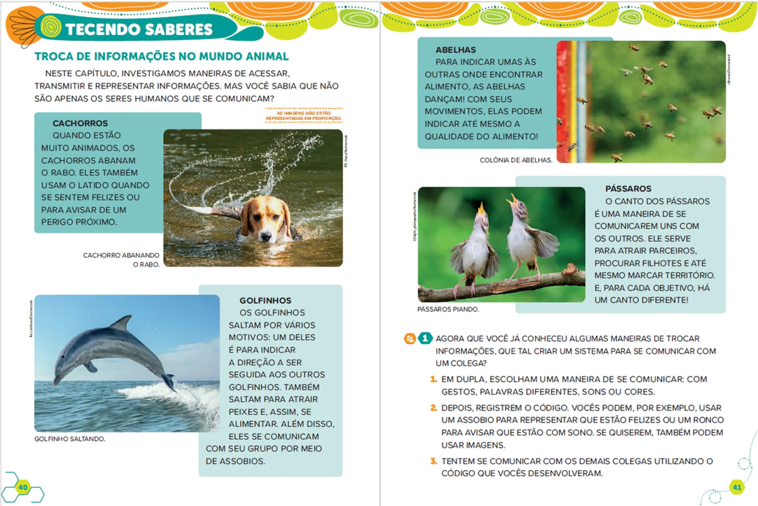 Ápis Mais educaçÁpis Mais educação digital - 1º e 2º ano - Páginas 40 e 41ão digital - 1º e 2º ano - Páginas 40 e 41