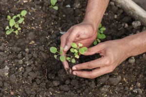 Biodiversidade e conservação: um convite à Educação Ambiental