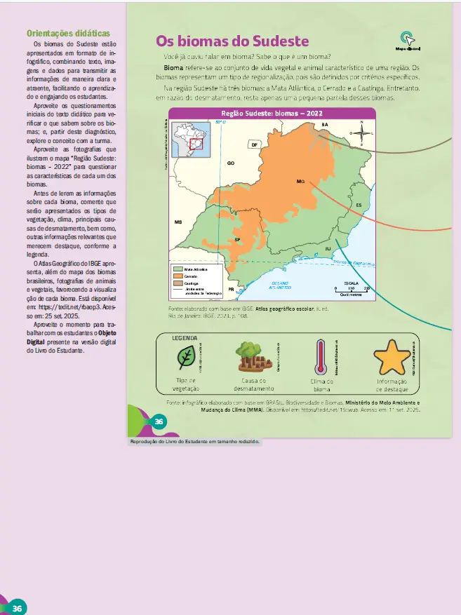 Imagem do Carrossel 3