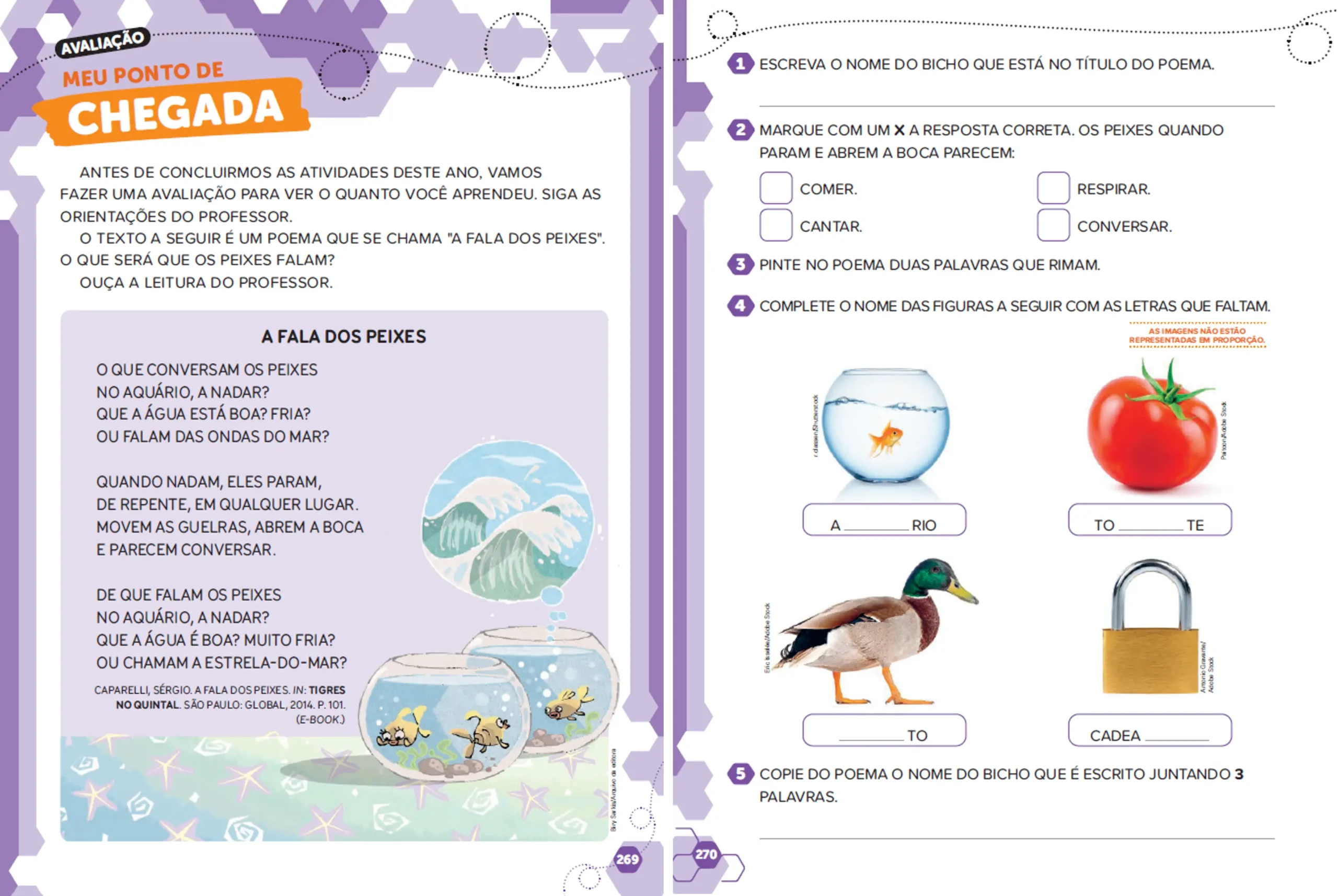 Imagem do Carrossel 8