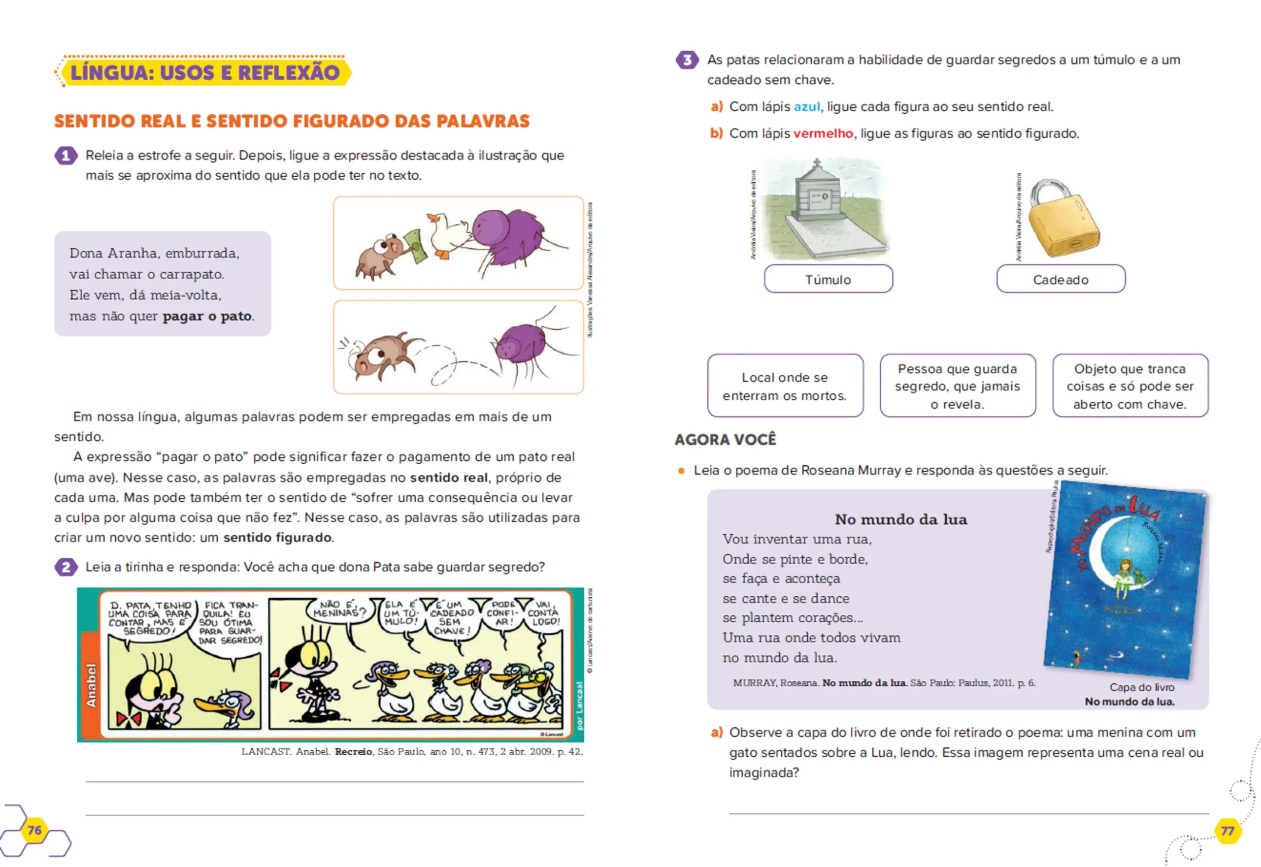 Imagem do Carrossel 6