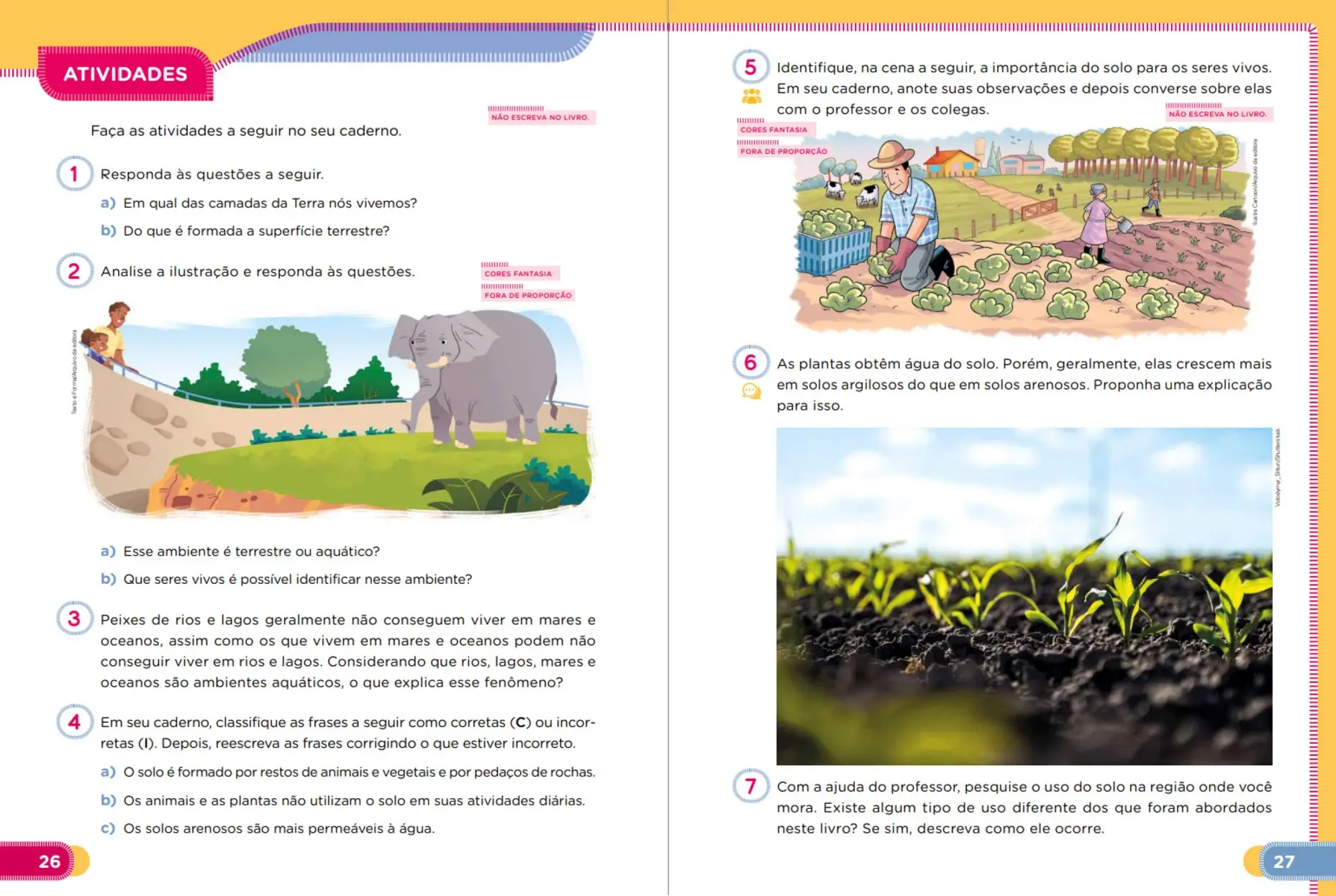 Imagem do Carrossel 4