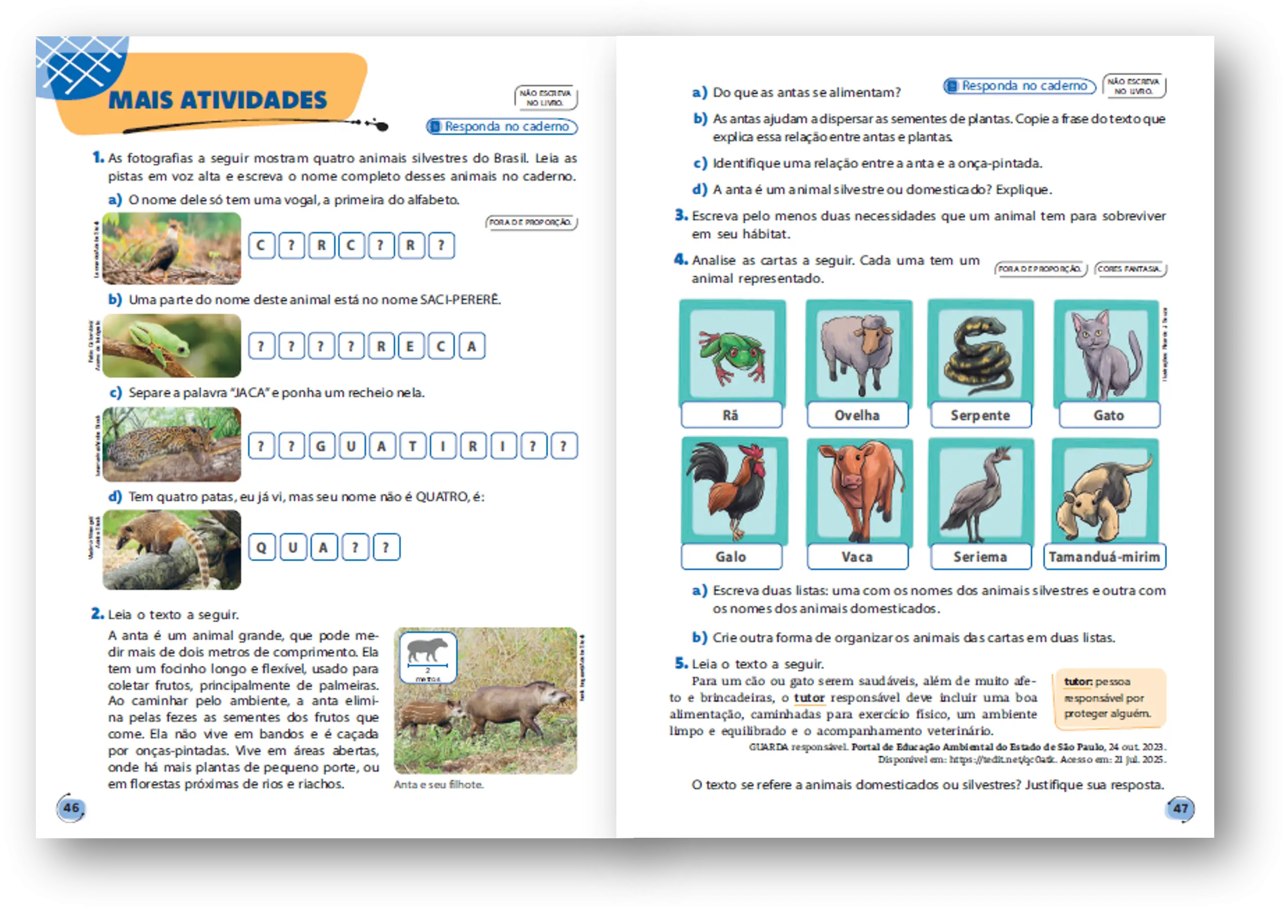 Imagem do Carrossel 2