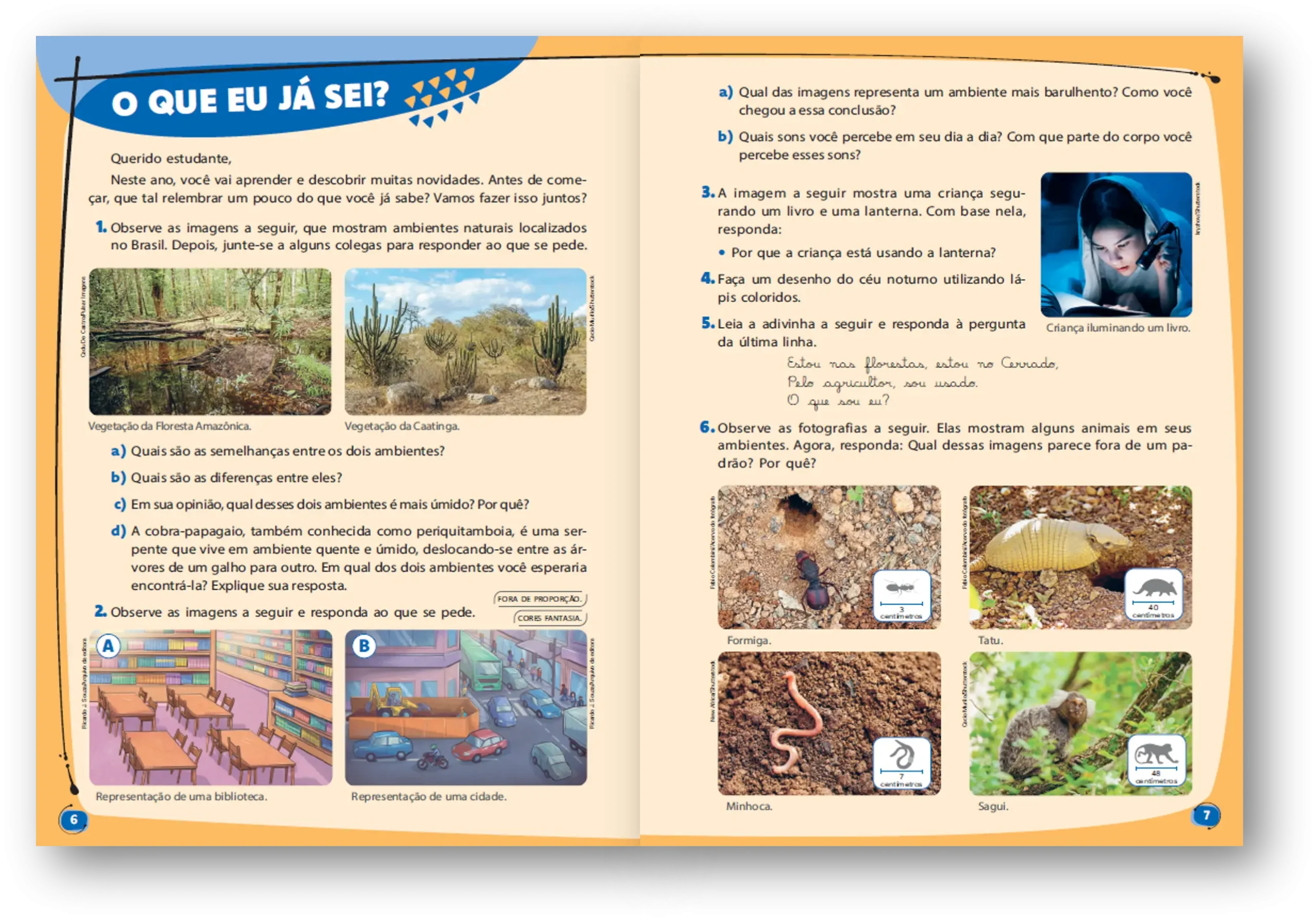 Imagem do Carrossel 1