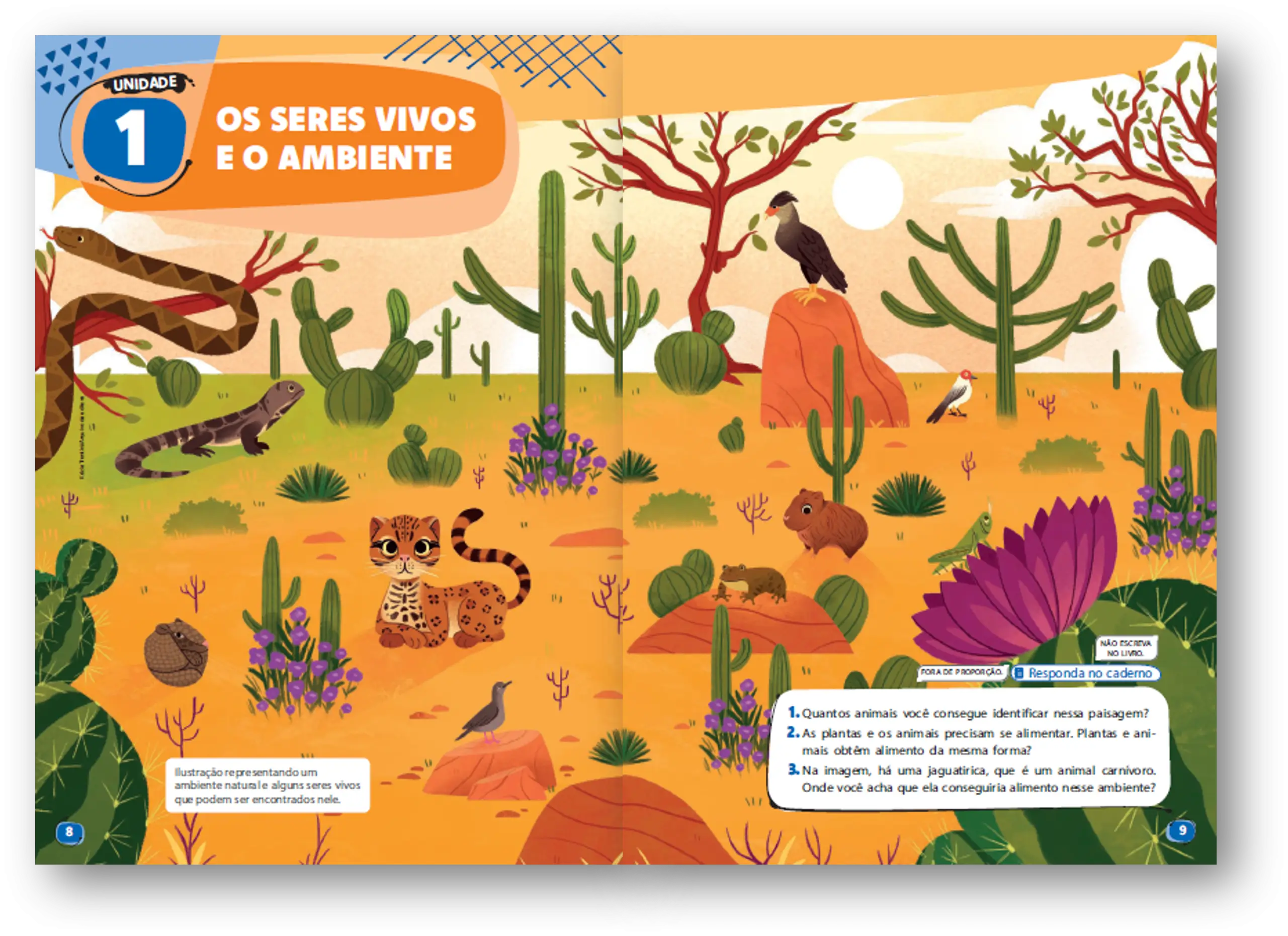 Imagem do Carrossel 3