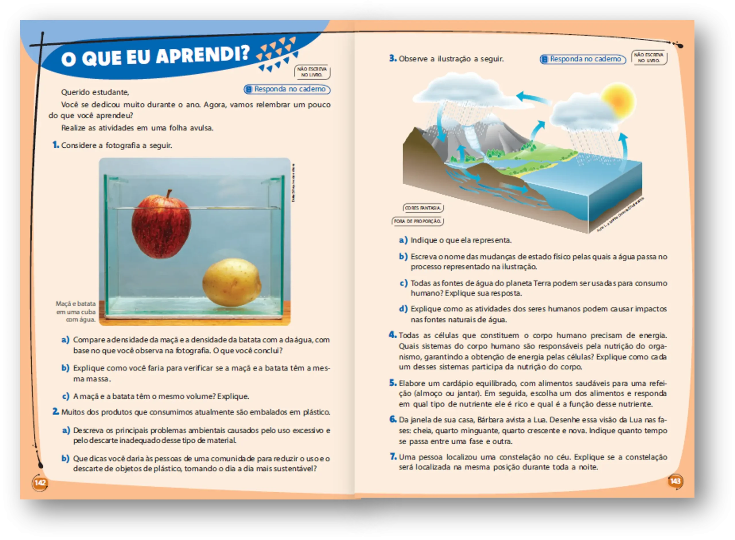 Imagem do Carrossel 8