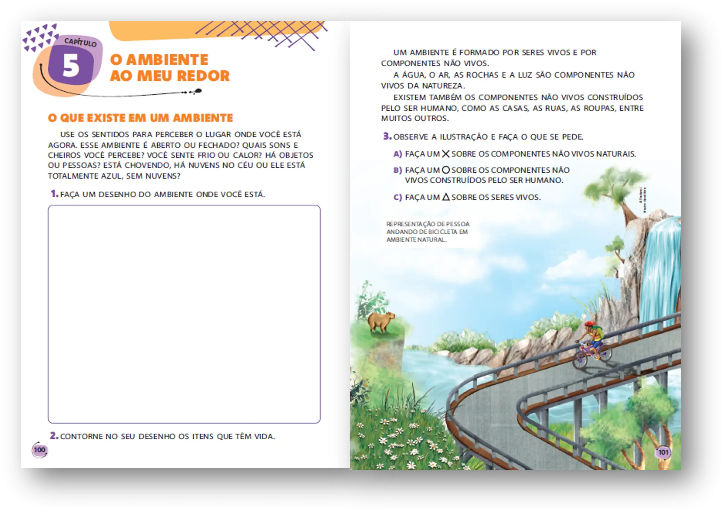 Imagem do Carrossel 3