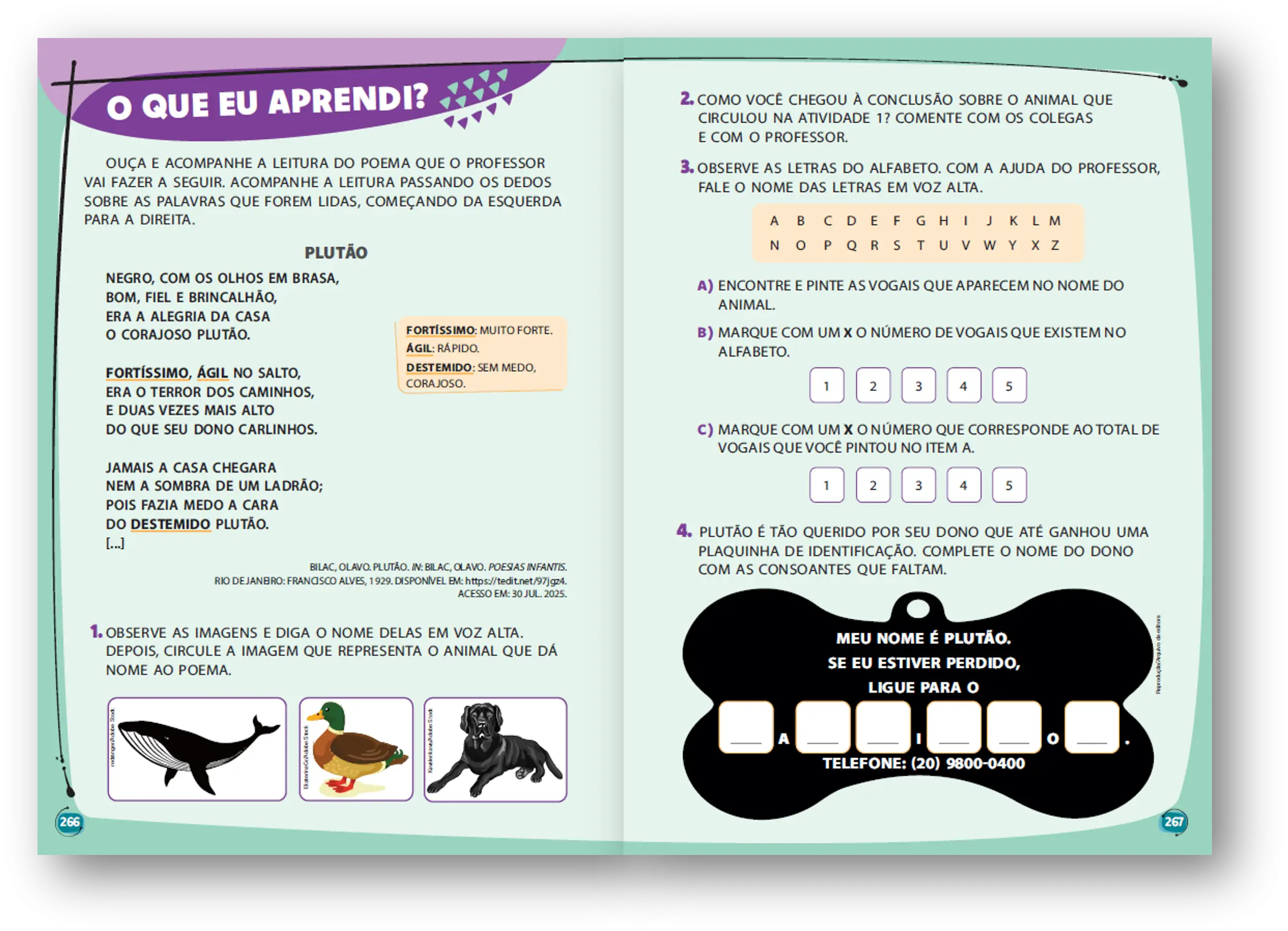 Imagem do Carrossel 4