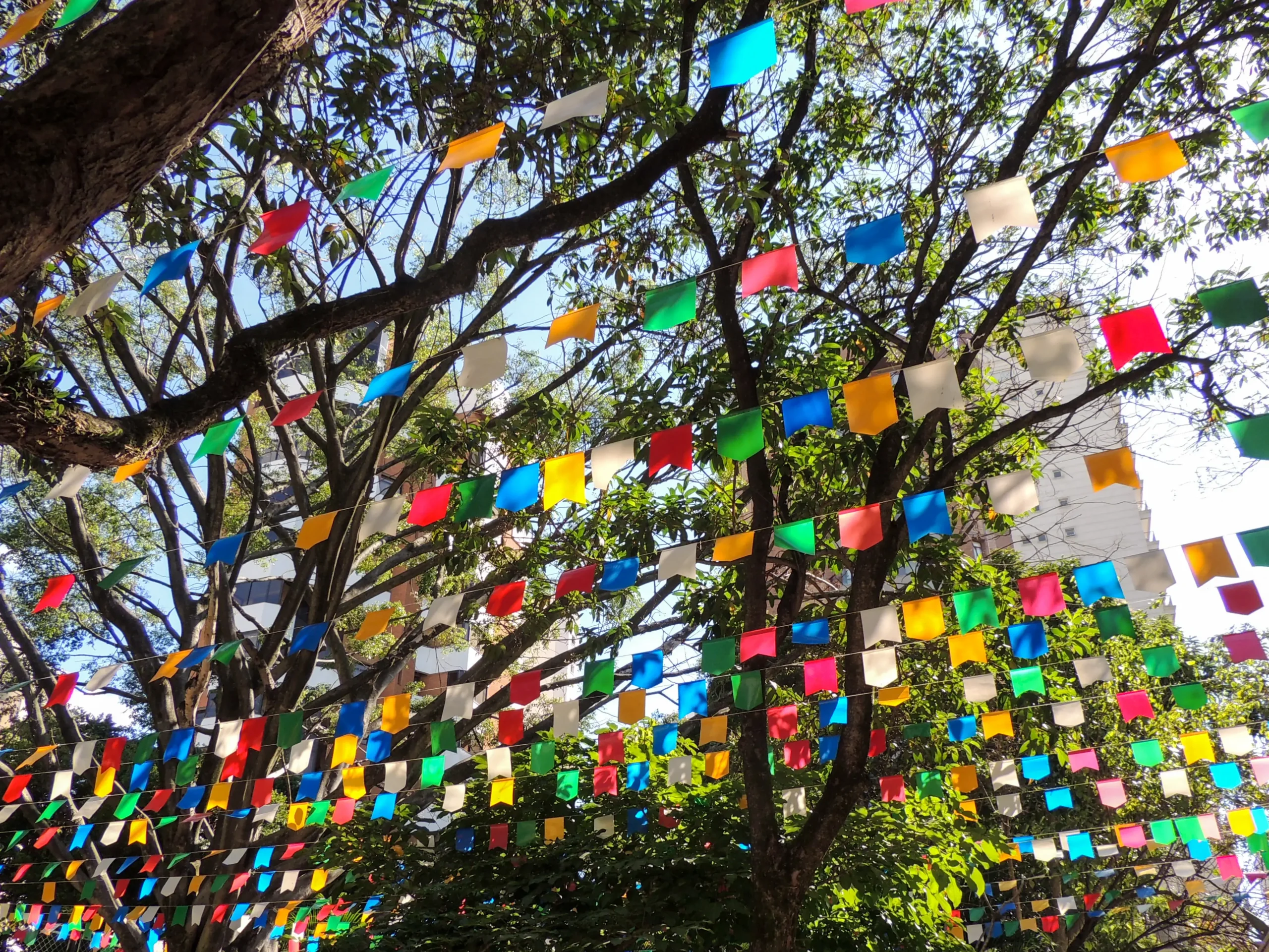 A importância cultural das festas juninas na educação
