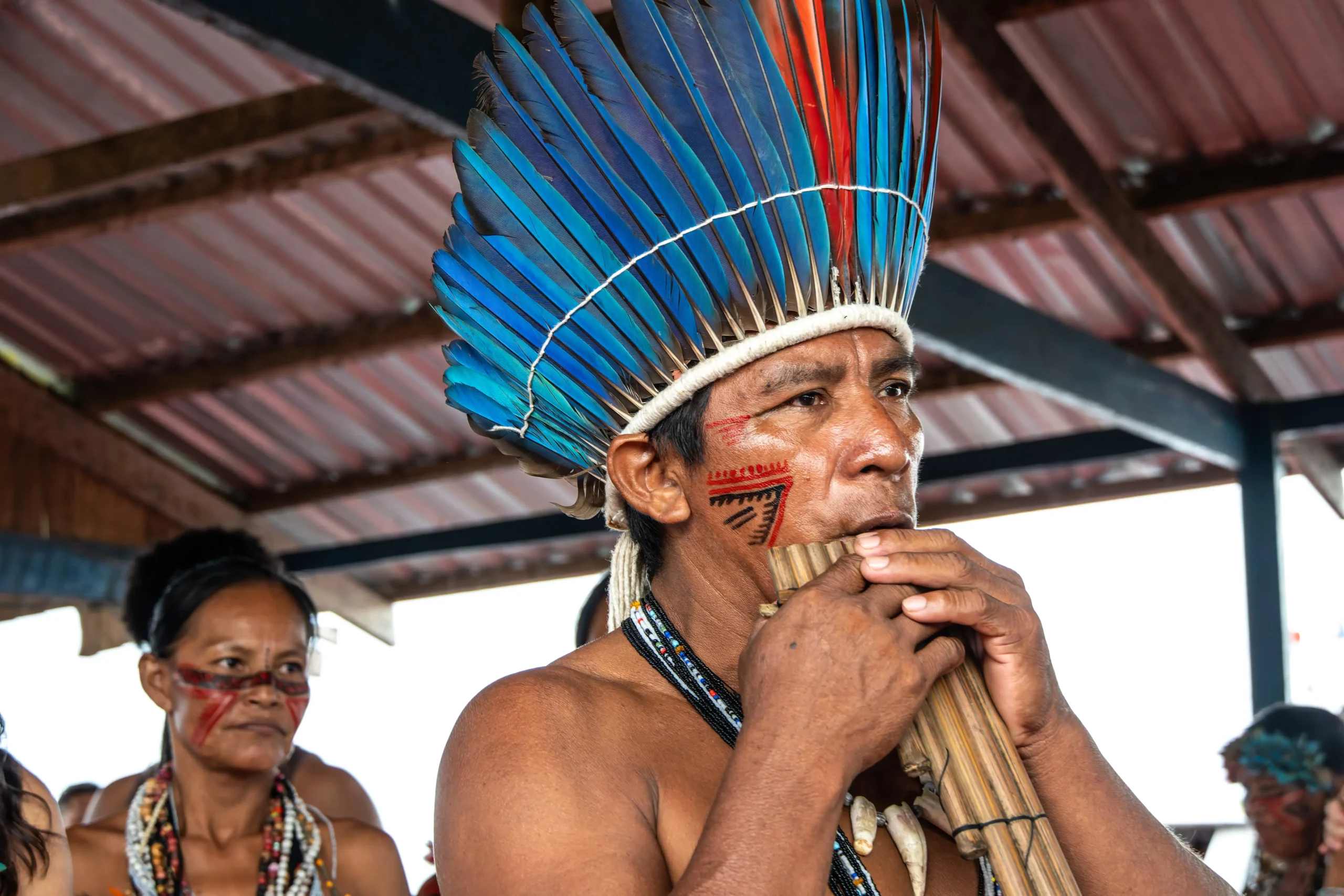 Cultura afro brasileira e indigena nos anos iniciais - Lei nº 11.6452008 